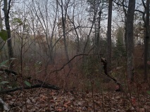 Uwharrie Hunting Trip (16-21 Nov 20)