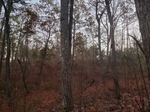 Uwharrie Hunting Trip (16-21 Nov 20)