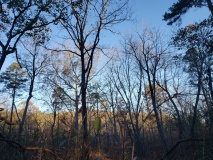 Uwharrie Hunting Trip (16-21 Nov 20)