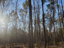 Uwharrie Hunting Trip (16-21 Nov 20)