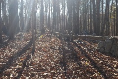 Uwharrie Hunting Trip (16-21 Nov 20)