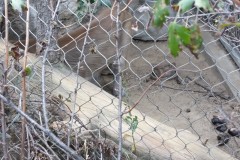 20150927_164004