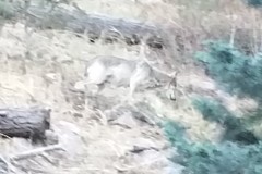20150927_164408